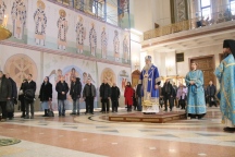 IMG_5935.jpg