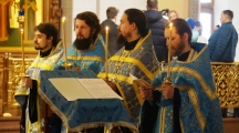 DSC06225.jpg
